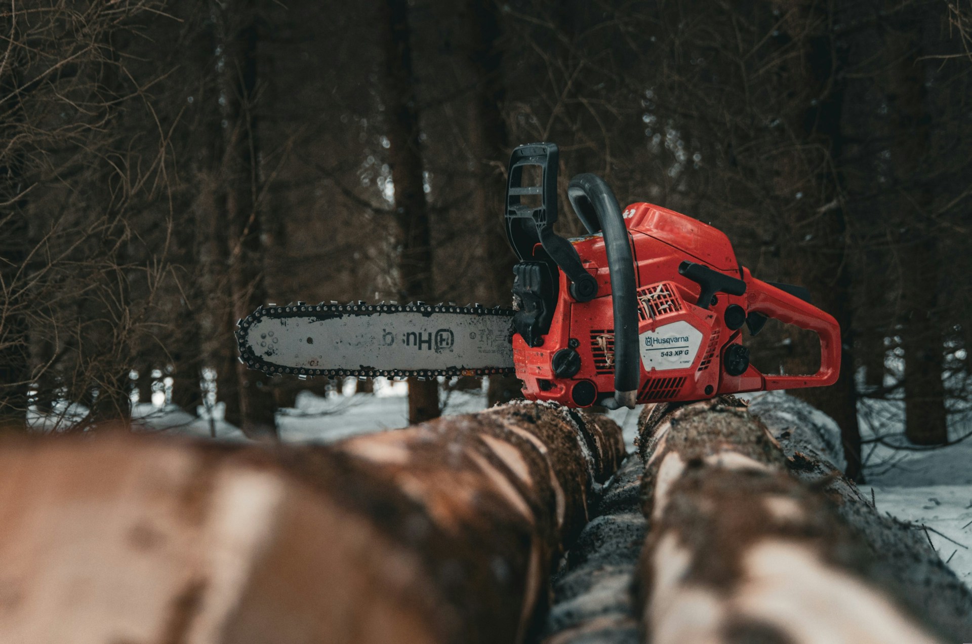 chainsaw on a tree log